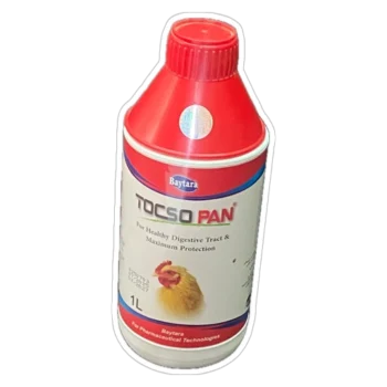 TOCSO PAN