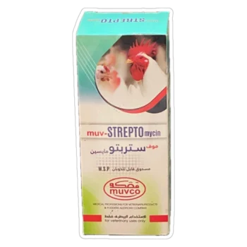 ستربتو
