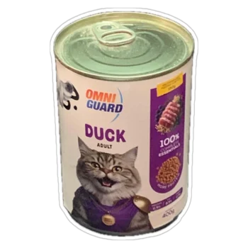 DUCK