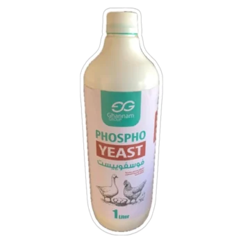 PHOSPHO YEAST