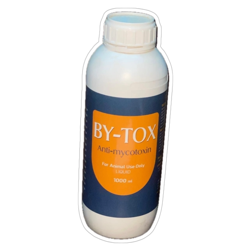 b37be33b-cbbb-4324-b75a-efc573dcf66d