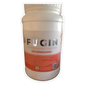 FUGIN